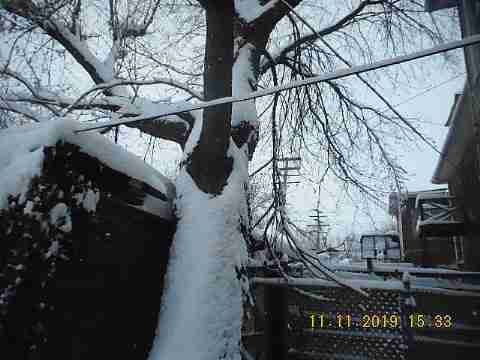 3319 Pingree (26)_m.jpg